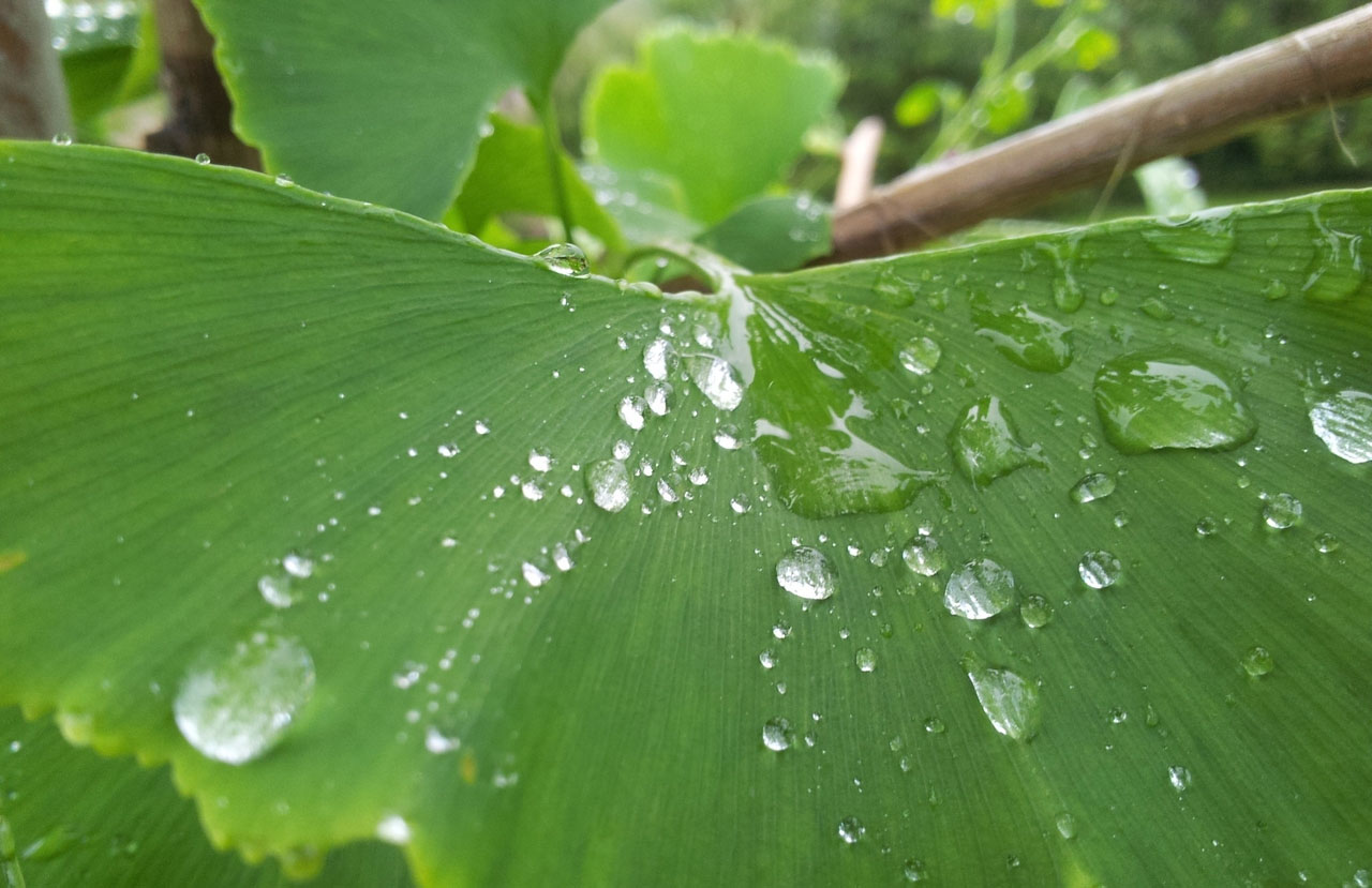 苹果短信轰炸机